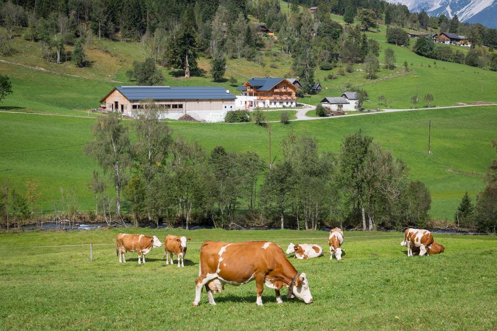 Rojerhof Villa Schladming Eksteriør billede