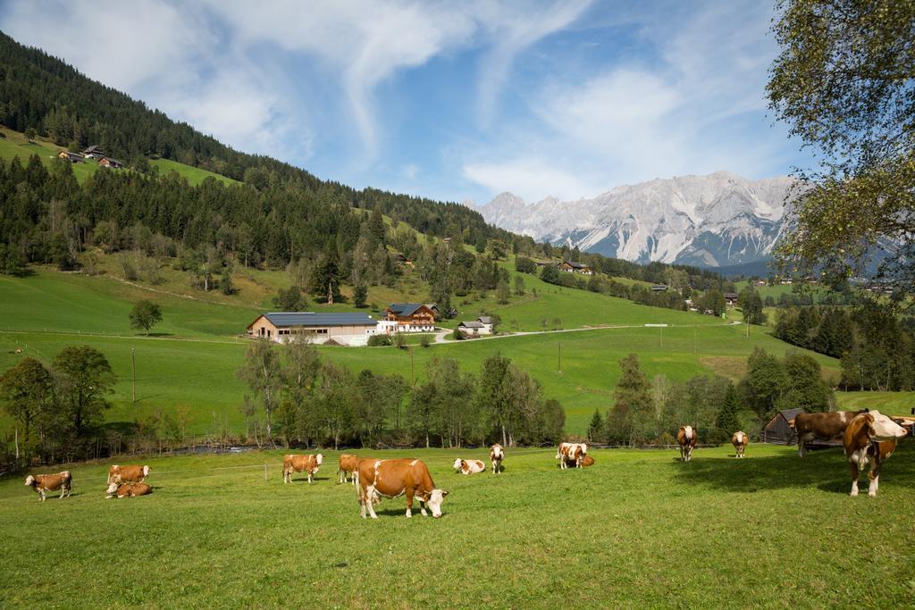 Rojerhof Villa Schladming Eksteriør billede